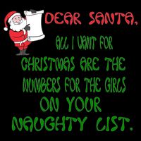 Dear Santa Naughty List Girls Numbers Funny Visor