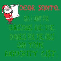 Dear Santa Naughty List Girls Numbers Funny Women's V-Neck T-Shirt