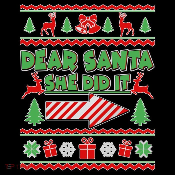 Dear Santa She Did It Ugly Christmas Matching Stripe Pom Pom Beanie