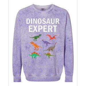 Dinosaur Expert Dino T Rex Dinosaurus Lovers Colorblast Crewneck Sweatshirt