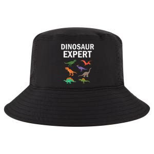 Dinosaur Expert Dino T Rex Dinosaurus Lovers Cool Comfort Performance Bucket Hat