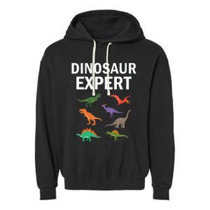 Dinosaur Expert Dino T Rex Dinosaurus Lovers Garment-Dyed Fleece Hoodie