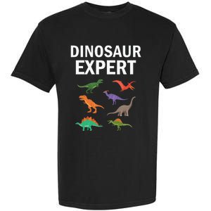 Dinosaur Expert Dino T Rex Dinosaurus Lovers Garment-Dyed Heavyweight T-Shirt