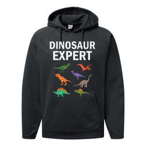 Dinosaur Expert Dino T Rex Dinosaurus Lovers Performance Fleece Hoodie