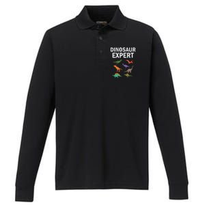 Dinosaur Expert Dino T Rex Dinosaurus Lovers Performance Long Sleeve Polo