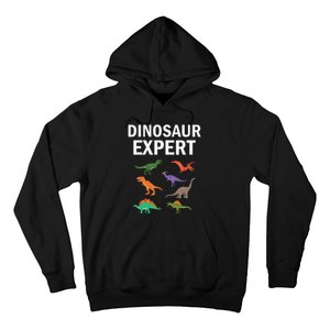 Dinosaur Expert Dino T Rex Dinosaurus Lovers Hoodie