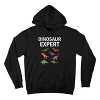 Dinosaur Expert Dino T Rex Dinosaurus Lovers Hoodie