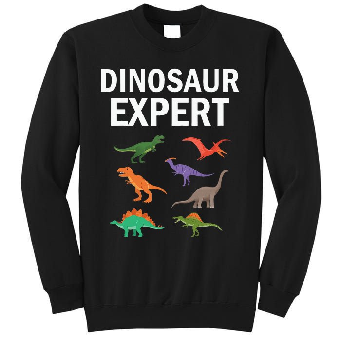 Dinosaur Expert Dino T Rex Dinosaurus Lovers Sweatshirt