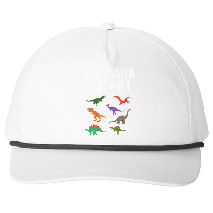 Dinosaur Expert Dino T Rex Dinosaurus Lovers Snapback Five-Panel Rope Hat