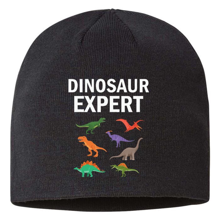 Dinosaur Expert Dino T Rex Dinosaurus Lovers Sustainable Beanie