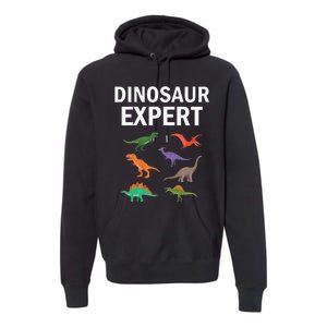 Dinosaur Expert Dino T Rex Dinosaurus Lovers Premium Hoodie