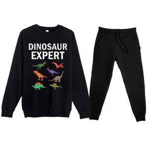 Dinosaur Expert Dino T Rex Dinosaurus Lovers Premium Crewneck Sweatsuit Set