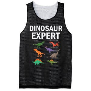 Dinosaur Expert Dino T Rex Dinosaurus Lovers Mesh Reversible Basketball Jersey Tank