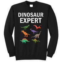 Dinosaur Expert Dino T Rex Dinosaurus Lovers Tall Sweatshirt