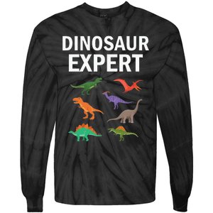 Dinosaur Expert Dino T Rex Dinosaurus Lovers Tie-Dye Long Sleeve Shirt