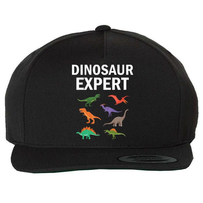 Dinosaur Expert Dino T Rex Dinosaurus Lovers Wool Snapback Cap