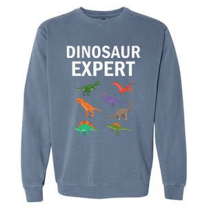 Dinosaur Expert Dino T Rex Dinosaurus Lovers Garment-Dyed Sweatshirt