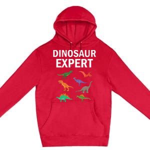 Dinosaur Expert Dino T Rex Dinosaurus Lovers Premium Pullover Hoodie