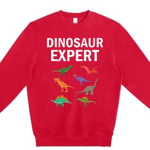 Dinosaur Expert Dino T Rex Dinosaurus Lovers Premium Crewneck Sweatshirt