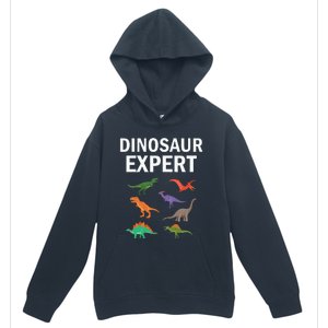 Dinosaur Expert Dino T Rex Dinosaurus Lovers Urban Pullover Hoodie