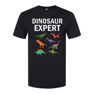 Dinosaur Expert Dino T Rex Dinosaurus Lovers Softstyle CVC T-Shirt