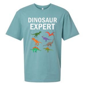 Dinosaur Expert Dino T Rex Dinosaurus Lovers Sueded Cloud Jersey T-Shirt