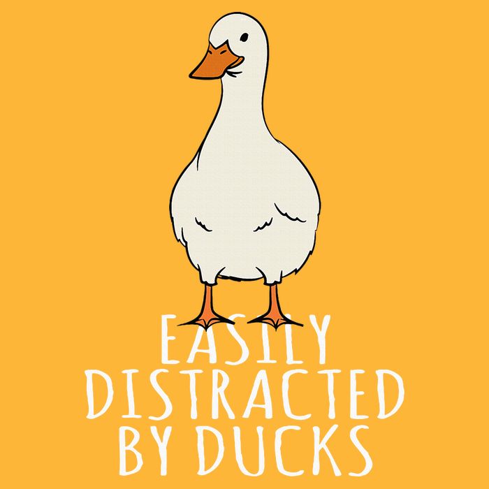 Duck Easily Distracted By Ducks Pom Pom 12in Knit Beanie