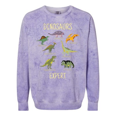 DINOSAURS EXPERT Colorblast Crewneck Sweatshirt