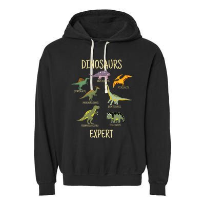 DINOSAURS EXPERT Garment-Dyed Fleece Hoodie