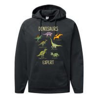 DINOSAURS EXPERT Performance Fleece Hoodie