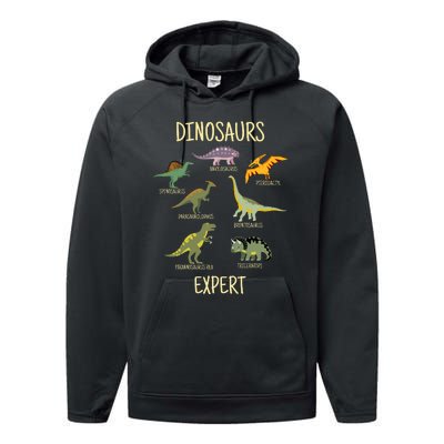 DINOSAURS EXPERT Performance Fleece Hoodie