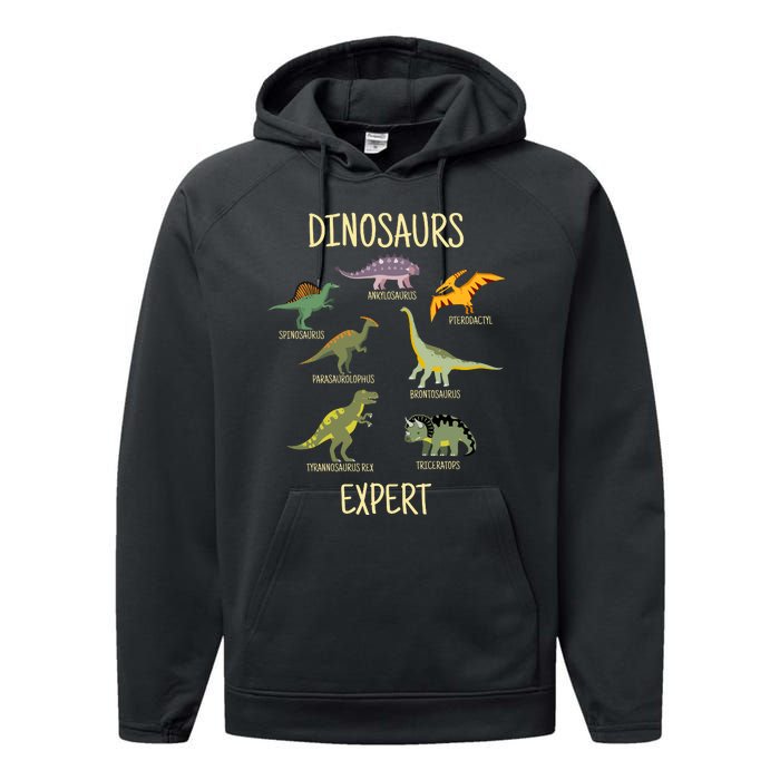 DINOSAURS EXPERT Performance Fleece Hoodie