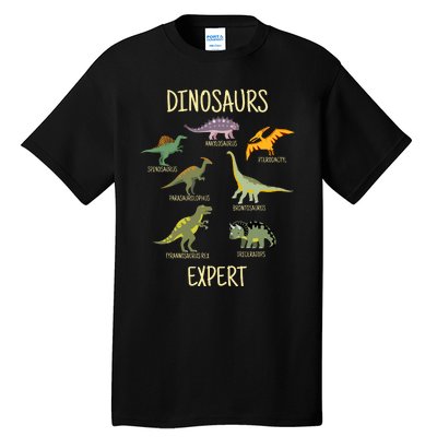 DINOSAURS EXPERT Tall T-Shirt