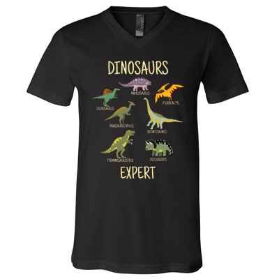 DINOSAURS EXPERT V-Neck T-Shirt