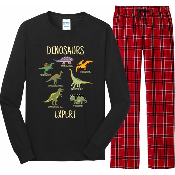 DINOSAURS EXPERT Long Sleeve Pajama Set