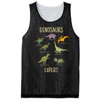 DINOSAURS EXPERT Mesh Reversible Basketball Jersey Tank