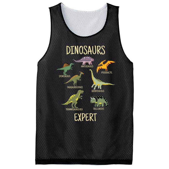 DINOSAURS EXPERT Mesh Reversible Basketball Jersey Tank