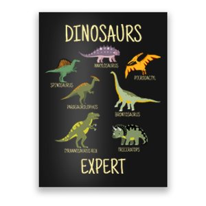 DINOSAURS EXPERT Poster