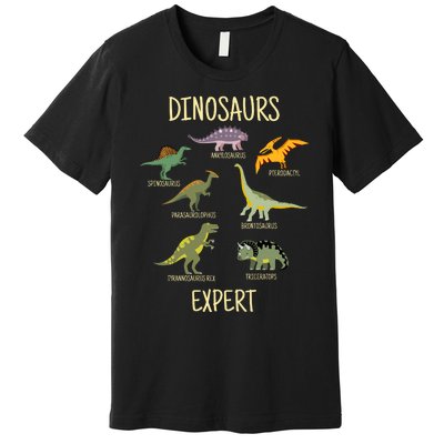 DINOSAURS EXPERT Premium T-Shirt