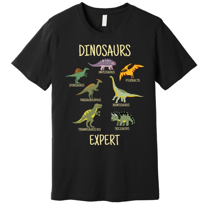 DINOSAURS EXPERT Premium T-Shirt