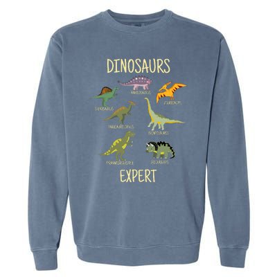 DINOSAURS EXPERT Garment-Dyed Sweatshirt