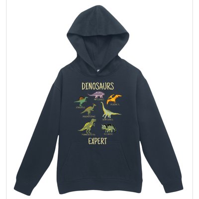 DINOSAURS EXPERT Urban Pullover Hoodie