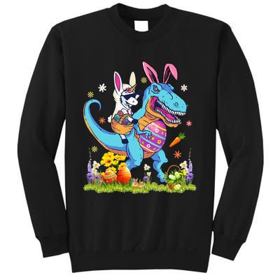 Dinosaur Easter Day Unicorn Riding Trex Bunny Costume Sweatshirt