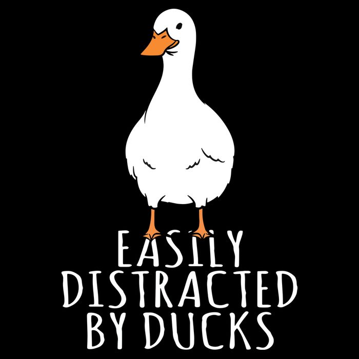 Duck Easily Distracted By Ducks Stripe Pom Pom Beanie