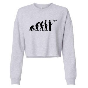 Drone Evolution Funny Quadcopter Drone Pilot Gift Cropped Pullover Crew