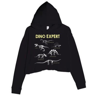 Dino Expert Future Paleontologist Dinosaur Fossil Bones Crop Fleece Hoodie