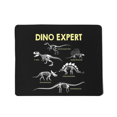 Dino Expert Future Paleontologist Dinosaur Fossil Bones Mousepad