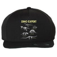 Dino Expert Future Paleontologist Dinosaur Fossil Bones Wool Snapback Cap