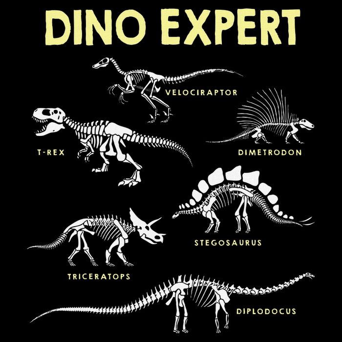 Dino Expert Future Paleontologist Dinosaur Fossil Bones Wool Snapback Cap