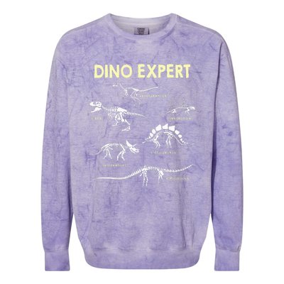 Dino Expert Future Paleontologist Dinosaur Fossil Bones Colorblast Crewneck Sweatshirt